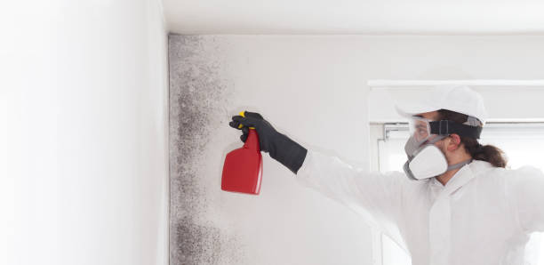 Best Crawl Space Mold Removal  in Kenosha, WI
